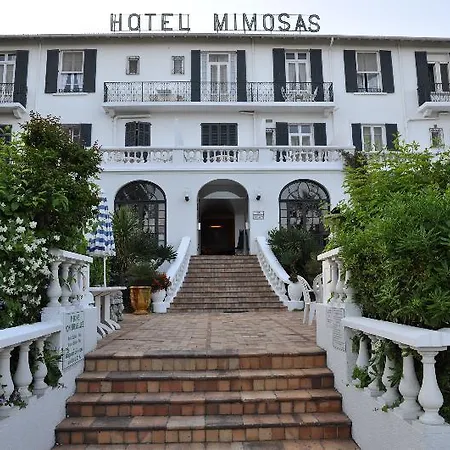 호텔 Des Mimosas 3*