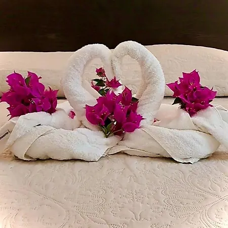 호텔 Des Mimosas 3*