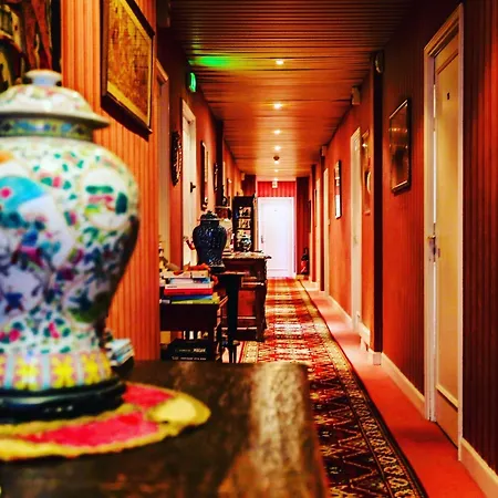 호텔 Des Mimosas 주앙레핑