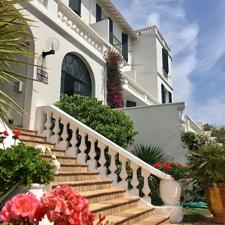 Des Mimosas 주앙레핑