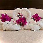 Hotel Des Mimosas 3*