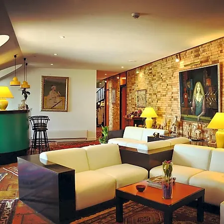 Hotel Des Mimosas