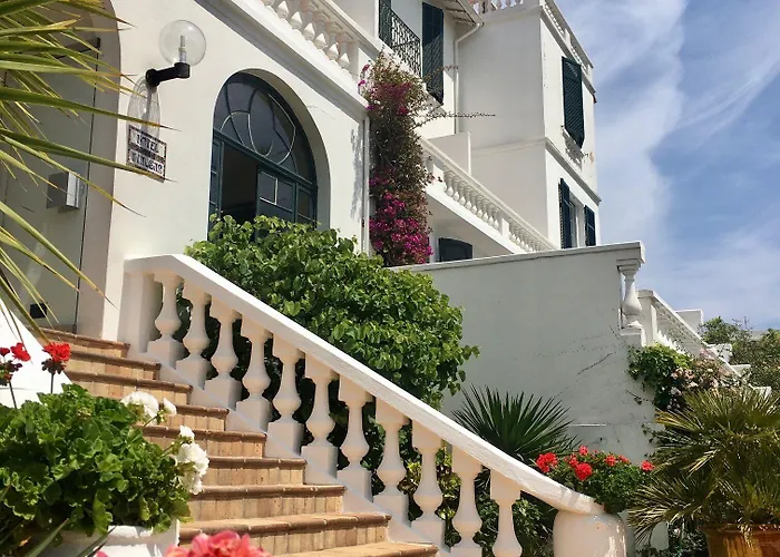 Des Mimosas Juan-les-Pins